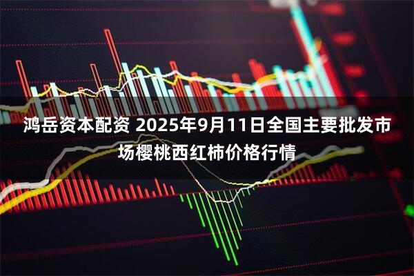 鸿岳资本配资 2025年9月11日全国主要批发市场樱桃西红柿价格行情