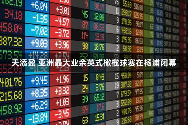 天添盈 亚洲最大业余英式橄榄球赛在杨浦闭幕