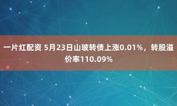 一片红配资 5月23日山玻转债上涨0.01%，转股溢价率110.09%