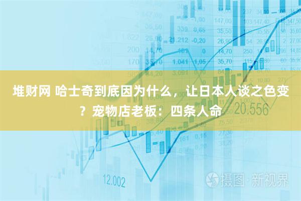 堆财网 哈士奇到底因为什么，让日本人谈之色变？宠物店老板：四条人命