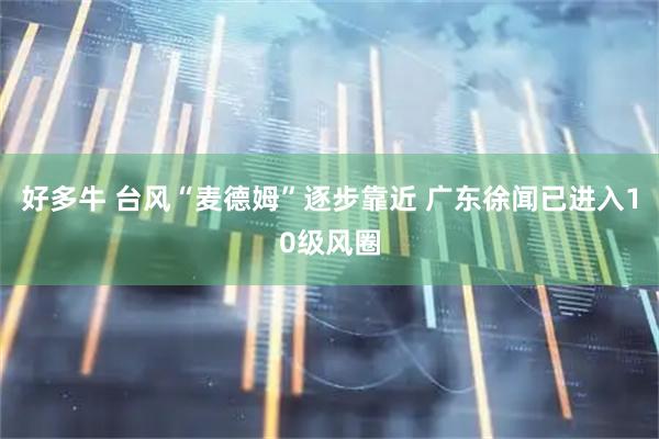 好多牛 台风“麦德姆”逐步靠近 广东徐闻已进入10级风圈